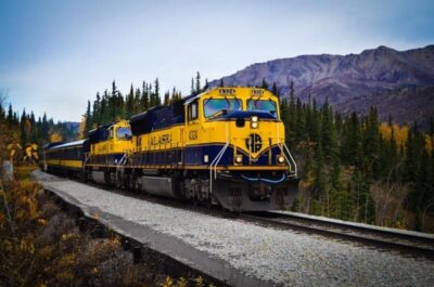 Alaska Railroad: Train Ride From Denali to Anchorage