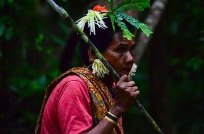 Batek - kmen z džungle, Malajsie
