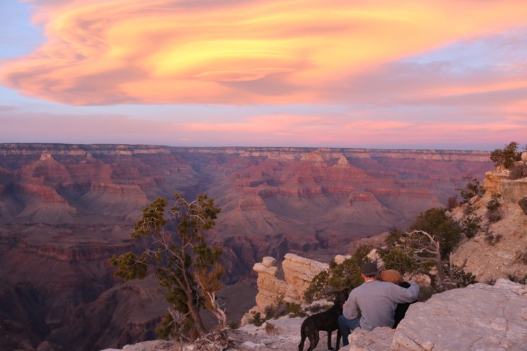 National Parks in the US that Allow Dogs 5